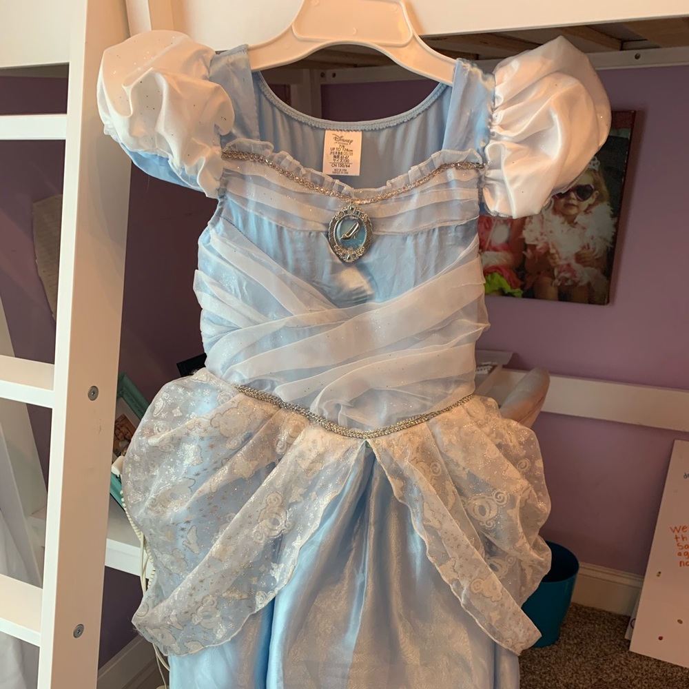 Disney Cinderella Dress \ Costume